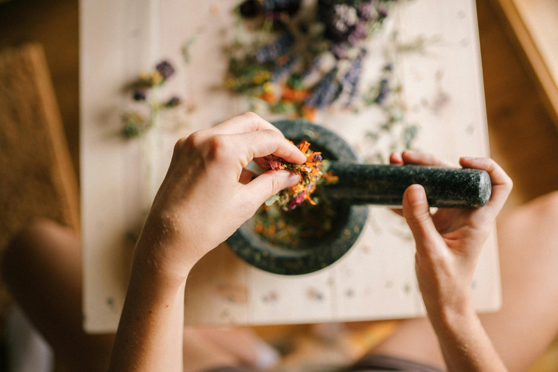 The Healing Power of Calendula – A Natural Skincare Miracle
